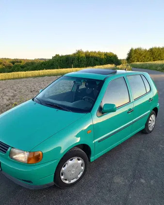 volkswagen Volkswagen Polo cena 3699 przebieg: 172652, rok produkcji 1996 z Parczew